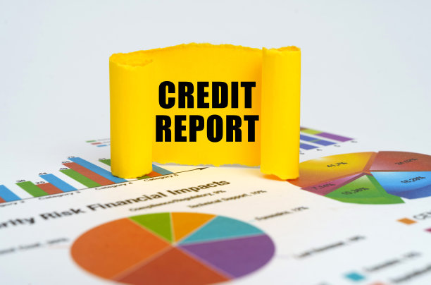 在图形和图表的背景下，有一个黄色的纸盘子，上面写着:信用报告图片下载