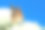 蝴蝶在绿色的大自然中绽放花朵。图片下载