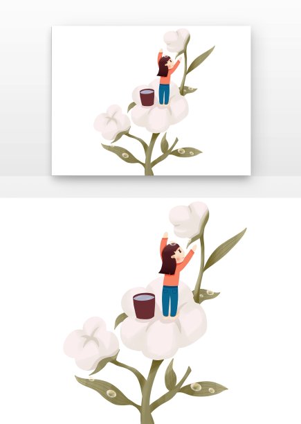 寒露节气女孩站在棉花接露水图片下载