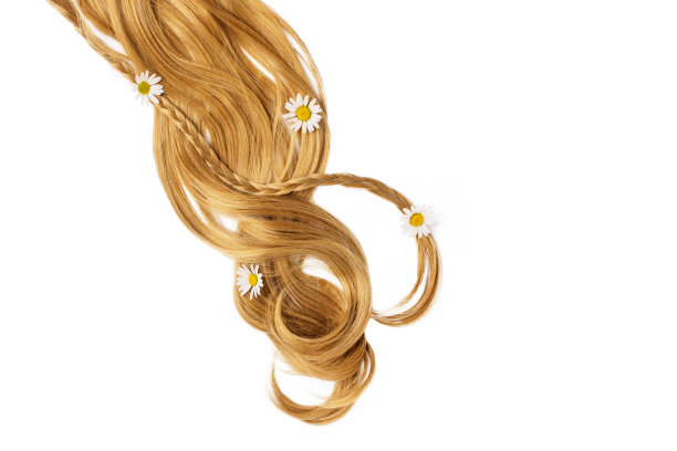 长长的金色卷发，白色背景上有洋甘菊色。图片下载