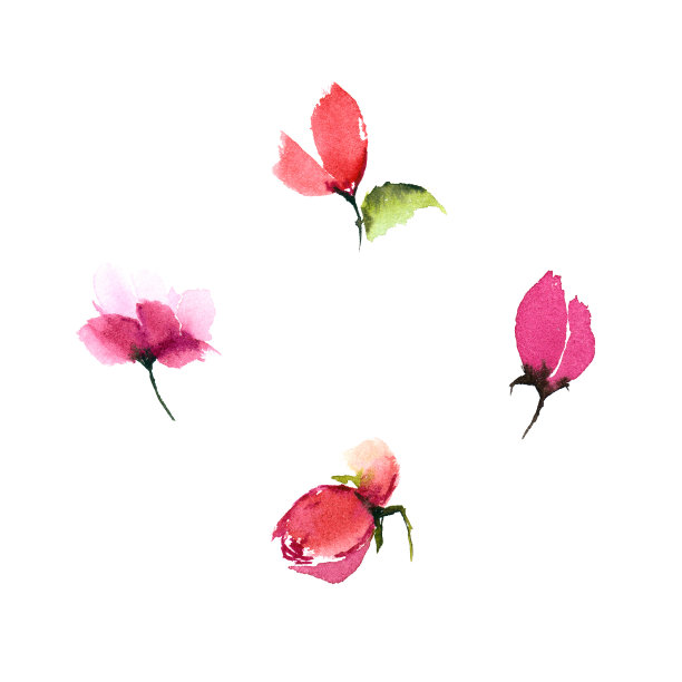 粉红色的花设置卡片装饰。水彩花卉草图。婚礼请柬设计元素图片下载
