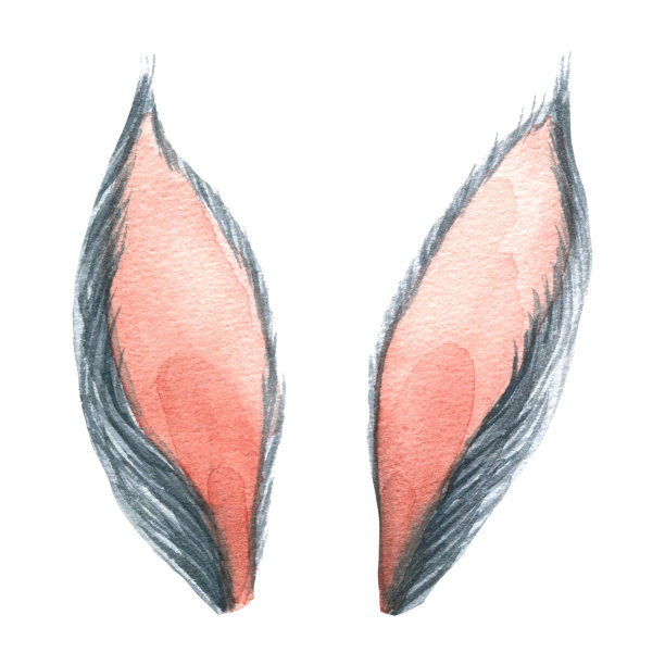 另外，还有一只兔子的耳朵，象征着2023年。水彩插图。孤立的物体，从一大套舒适的冬天。用于装饰，设计和新年和圣诞节的作品。图片下载