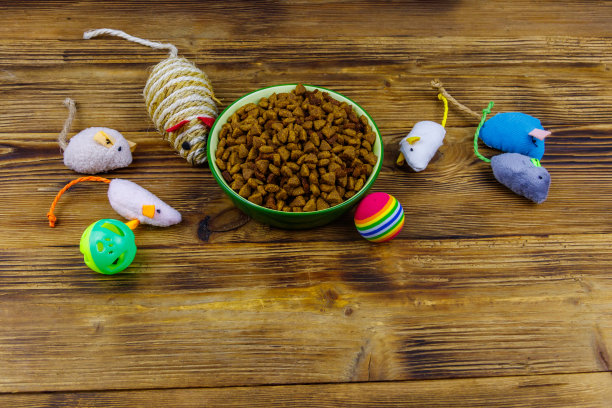 一套玩具猫和碗与干燥的宠物食品在木制背景。宠物护理的概念图片下载