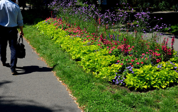 多年生花坛用一年生花卉在花坛边缘铺装在方形花岗岩铺装块上。柳条桌椅，咖啡馆露台图片下载
