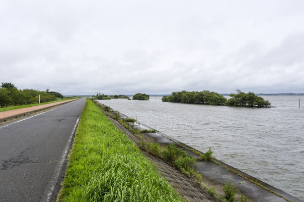 湖边的路图片下载