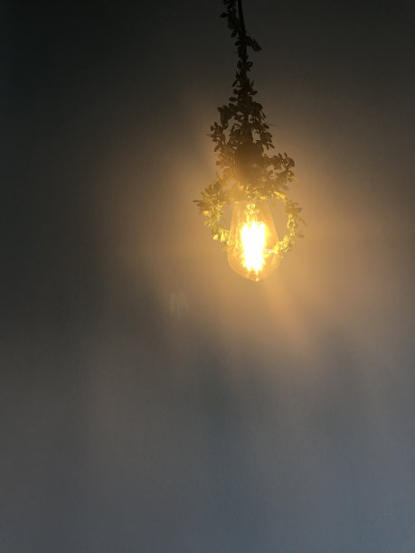 天花板上挂着一个黄色的灯泡，上面装饰着一棵绿色的攀缘植物图片下载