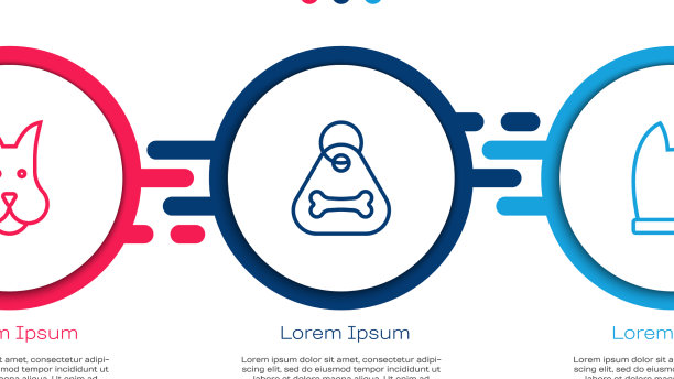 集线狗项圈与骨头和猫业务图片下载