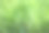 早上的绿草图片下载