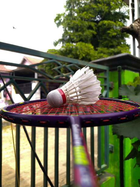 使用羽毛球和羽毛球拍在自然背景图片下载