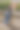 沉思的悲伤的女人图片下载