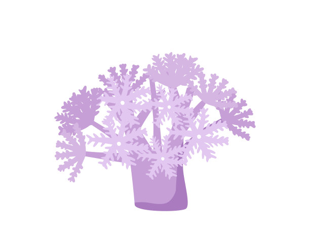 珊瑚枝，水下植物孤立在白色背景。珊瑚礁植被，生物多样性，海底生物图片下载