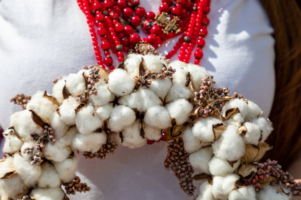 一名身穿刺绣连衣裙的乌克兰女孩手持一个棉质花环。图片下载