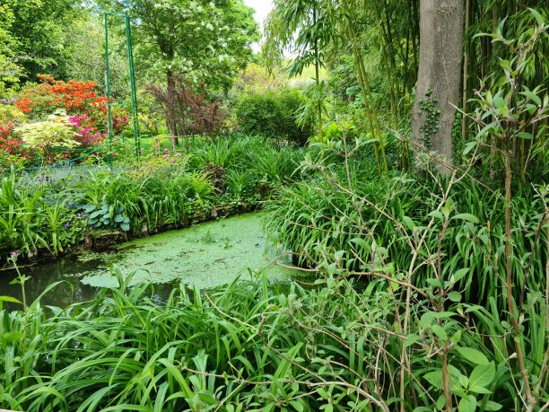 克劳德·莫奈在吉维尼的花园图片下载