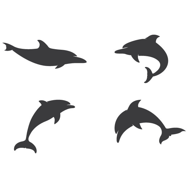 简单的海豚标志矢量图标插图图片下载