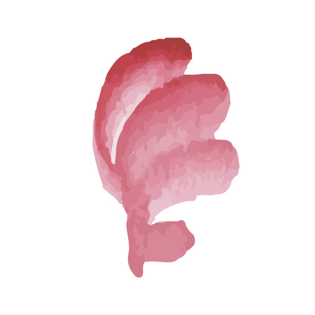 花图标孤立在白色背景标志图片下载