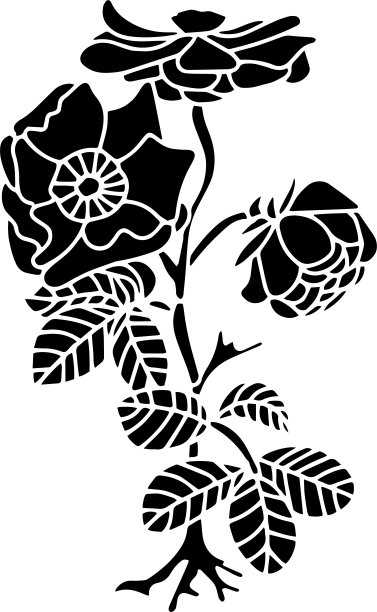 玫瑰矢量模板，黑色和白色图片下载