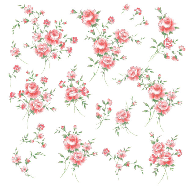 美丽的玫瑰插画素材收藏，图片下载