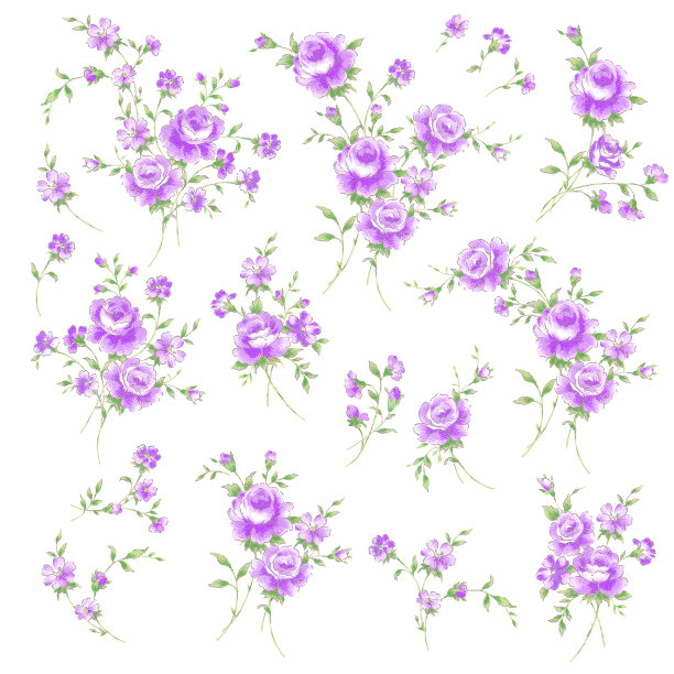 美丽的玫瑰插画素材收藏，图片下载