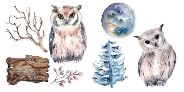 猫头鹰和森林植物水彩插图孤立在白色。图片下载