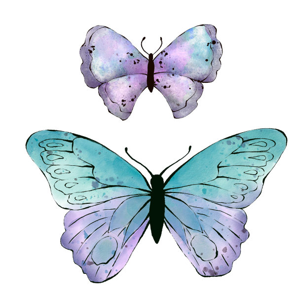 水彩蓝色蝴蝶，孤立在白色背景图片下载