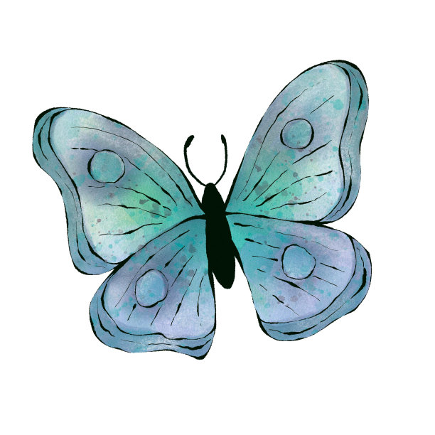 水彩蓝色蝴蝶，孤立在白色背景图片下载