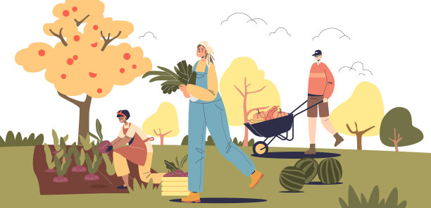 人们收割着，一群年轻的农民采摘着图片下载