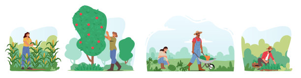 设定人物在花园或果园收割图片下载