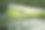 种植大麻横幅背景。种植经营系统大麻农场用于商业大麻经营。图片下载
