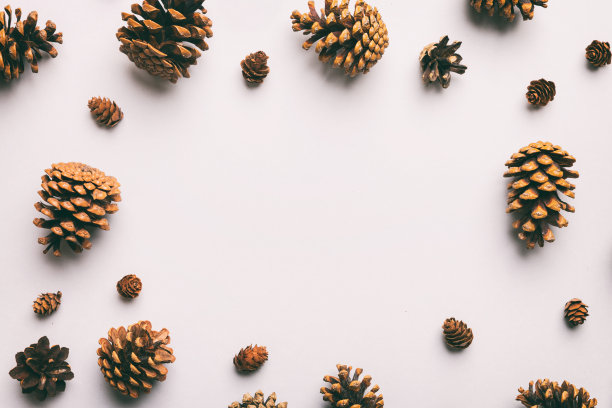 在彩色背景上的最小创意锥架排列模式。平铺，俯视图。圣诞节背景与拷贝空间图片下载