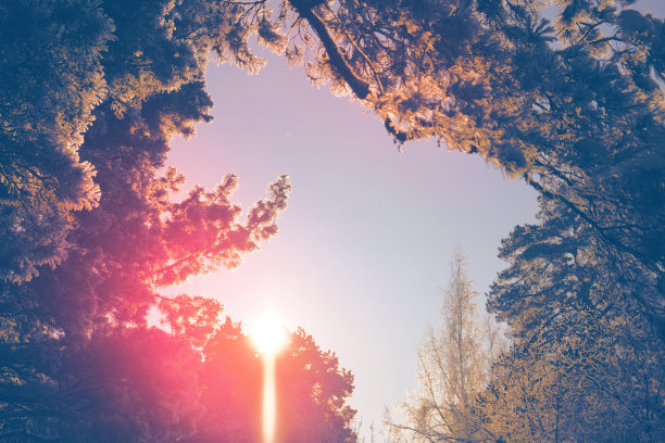 令人惊叹的北欧冬季景观。这是一幅平静、寒冷的冬日景象。神奇的自然背景。日落。冬季仙境。查找图片下载