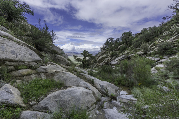 遥远的白沙，阿吉雷泉，季风季节图片下载