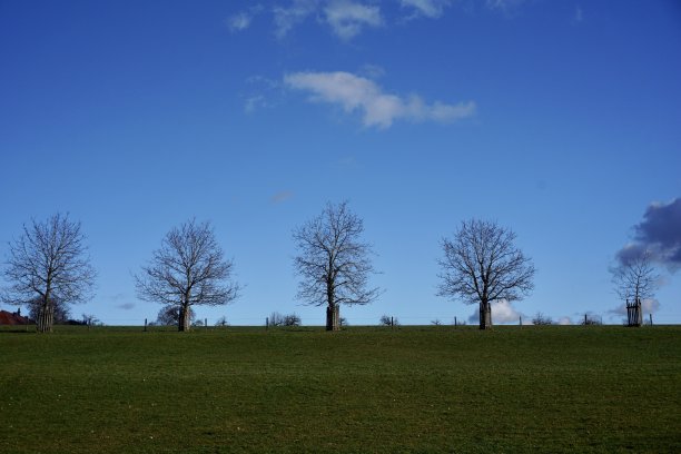 巴伐利亚的金秋。秋天在Herreninsel岛上。Fiery-colored秋天的森林。美丽的秋天森林的颜色。秋天在欧洲。图片下载