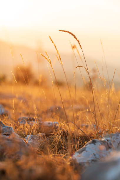 山上的秋天。库存图片图片下载