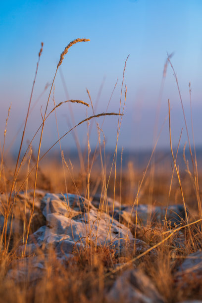 山上的秋天。库存图片图片下载
