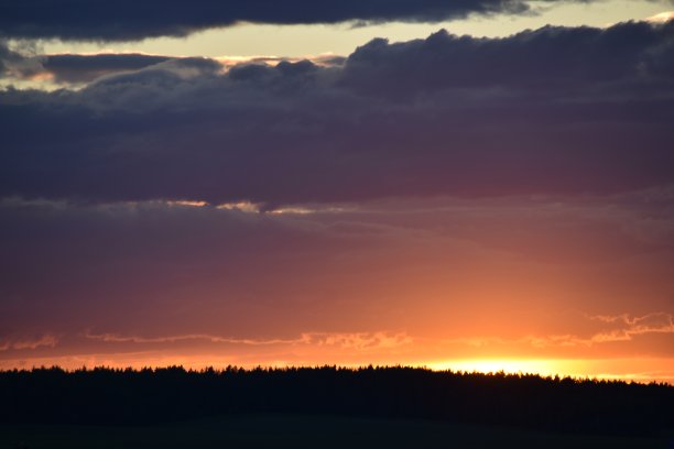 粉红色的夕阳在傍晚的一片黑暗的森林和云朵上图片下载