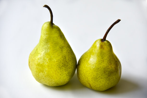 白底上青青的美味梨图片下载