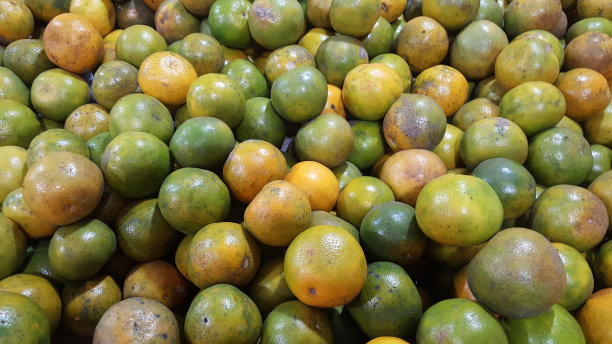 库存照片-橙子水果。奇异的热带水果，味道甜美多汁图片下载