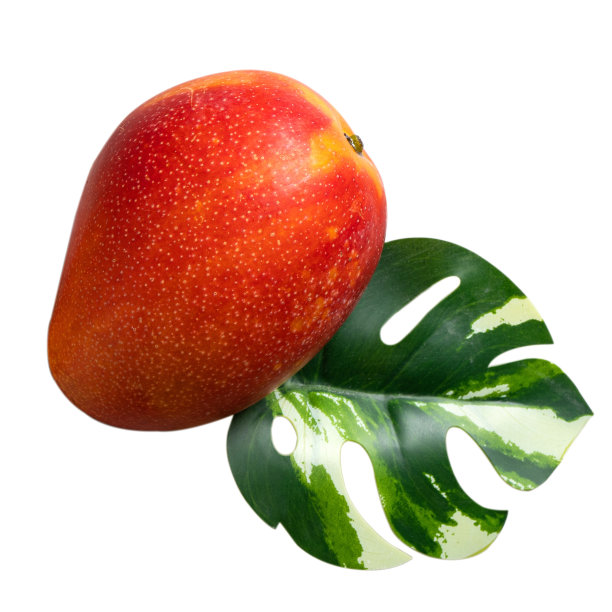 美丽美味的芒果孤立在白色的桌子背景。图片下载