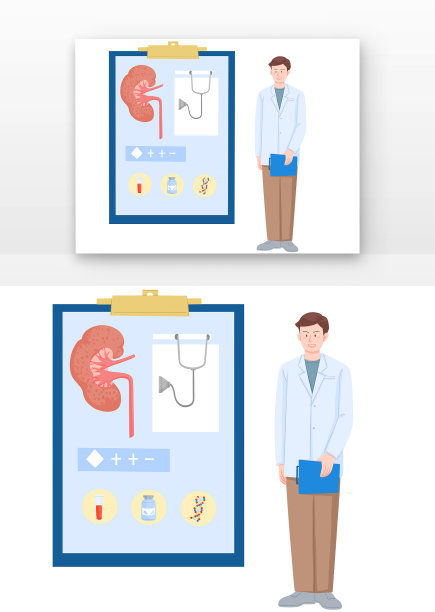 扁平风肾脏科场景医生和肾脏器官图片图片下载