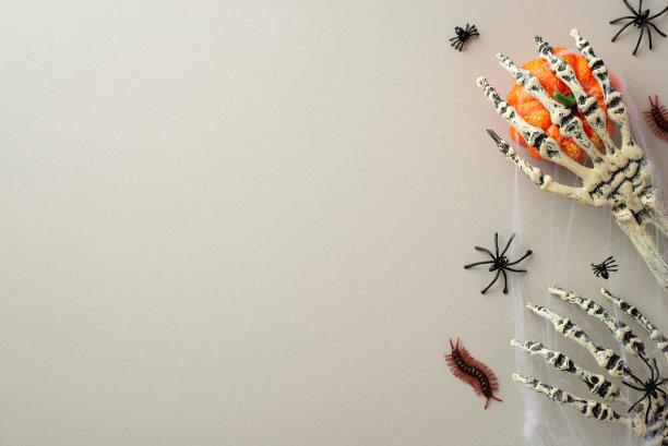 万圣节恐怖装饰概念。在孤立的灰色背景和空白空间上，骷髅手抱南瓜蜘蛛蜈蚣和蜘蛛网的俯视图照片图片下载