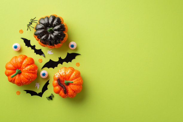 万圣节的概念。南瓜蝙蝠剪影幽灵眼睛蜘蛛蜈蚣和鬼剪影纸屑孤立的淡绿色背景与copyspace的俯视图照片图片下载
