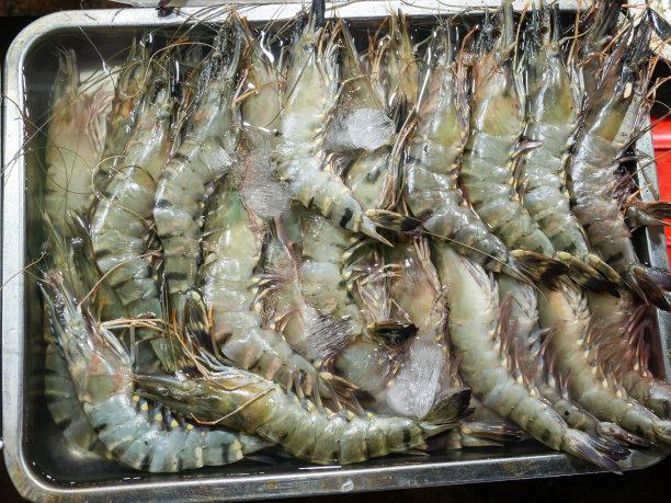 精选集中堆放在篮子里的大虾，从海鲜市场上新鲜干净的，生的黑虎虾。准备做饭图片下载