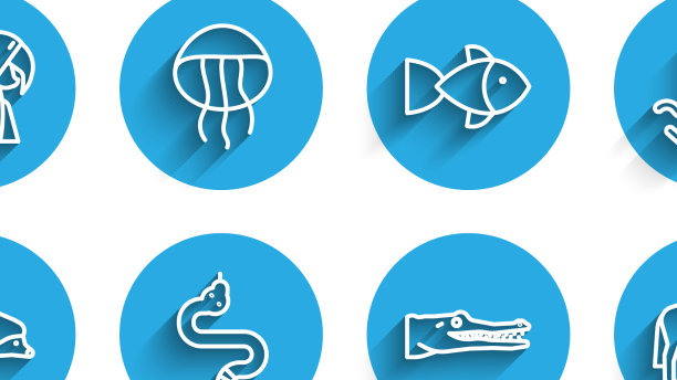 设线刺猬蛇鹿头带鹿角图片下载