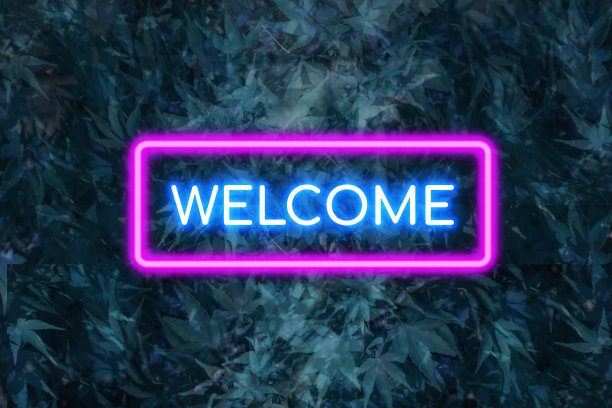 欢迎霓虹灯旗挂在枫叶上。图片下载