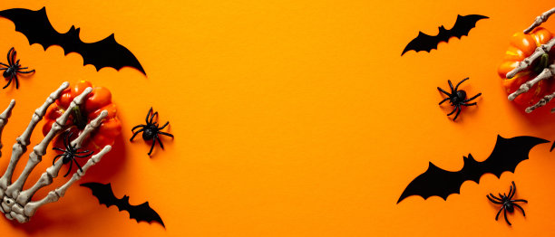 万圣节节日快乐的概念。万圣节横幅，蝙蝠，骷髅手，蜘蛛，南瓜在橙色的背景。前视图。平的。图片下载