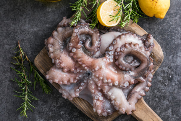 章鱼。创意的健康食品概念，配以美味的章鱼海鲜照片。图片下载