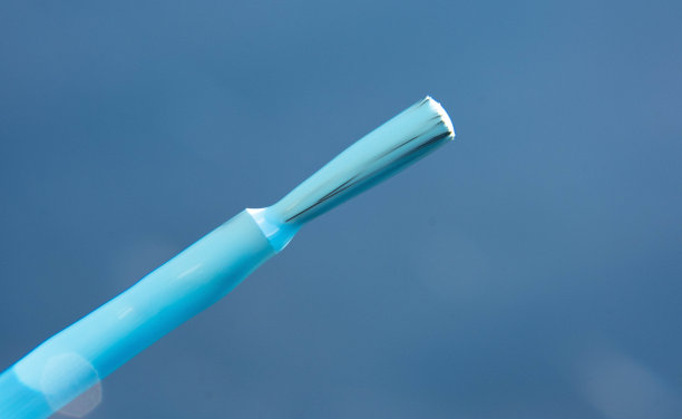 指甲油刷(蓝色)图片下载