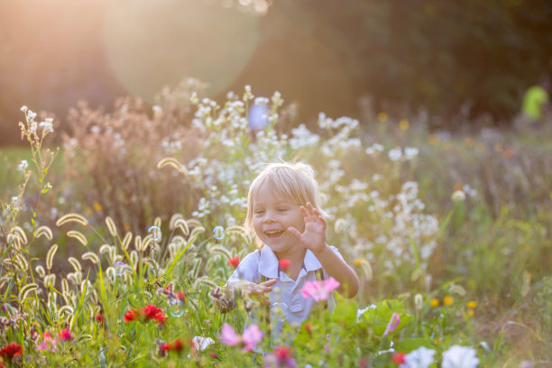可爱的学龄前金发孩子，在公园里玩日落，夏天的时间图片下载