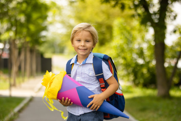 可爱的金发小孩，捷克共和国第一天上学时拿着甜筒的男孩，这是德国的传统图片下载