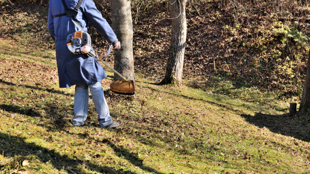 一个农民用一把砍刀在树间割干草图片下载